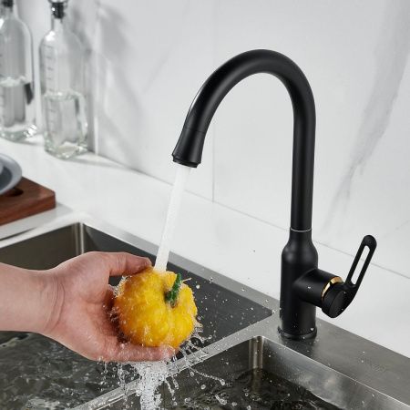 Смеситель для кухни Raffine F103H на мойку черный
