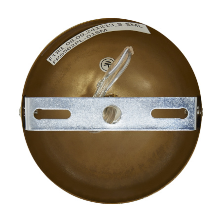 Светильник подвесной Freya Grotta (Гротта) FR5561PL-01SM