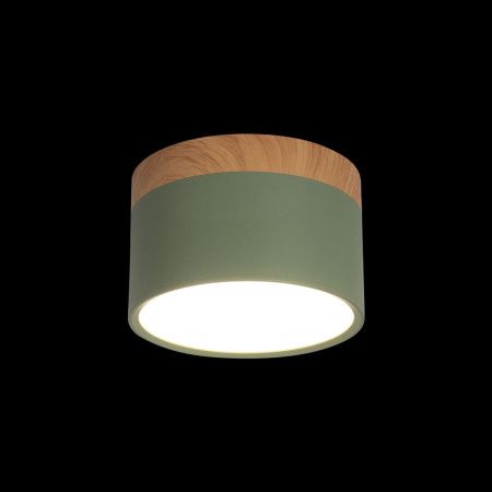 Светильник накладной Loft It Grape 10162 Green
