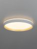 Светильник потолочный музыкальный Citilux Enzo (Ензо) CL753450G
