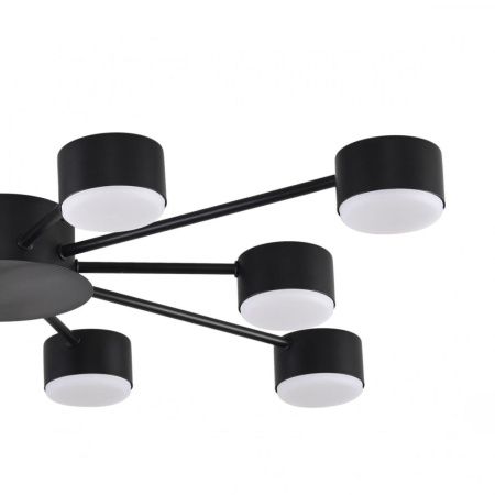 Люстра потолочная Lumion Torina (Торина) 8344/10C