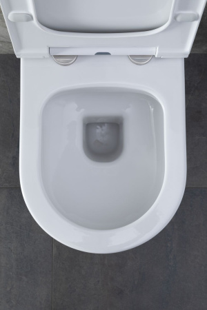 Чаша унитаза подвесная Allen Brau Priority 4.31001.20 цвет белый без сиденья безободковая каскадный смыв