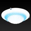 Настенно-потолочный светильник Toplight Clare (Цларе) TL9101Y-02BL