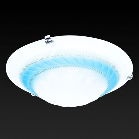 Настенно-потолочный светильник Toplight Clare (Цларе) TL9101Y-02BL