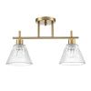 Светильник потолочный Lumion Vivian (Вивиан) 8188/2C