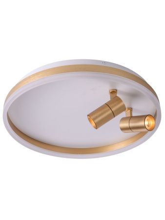Светильник потолочный Zortes Raizy (Раизы) ZRS.1888.02