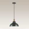 Светильник подвесной Lumion Dario (Дарио) 3675/1