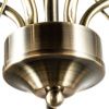 Люстра на штанге Arte Lamp Blossom (Блоссом) A2709PL-5AB