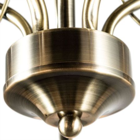 Люстра на штанге Arte Lamp Blossom (Блоссом) A2709PL-5AB