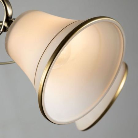 Люстра на штанге Arte Lamp Blossom (Блоссом) A2709PL-5AB