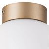 Светильник потолочный Lightstar Globo (Глобо) 812013