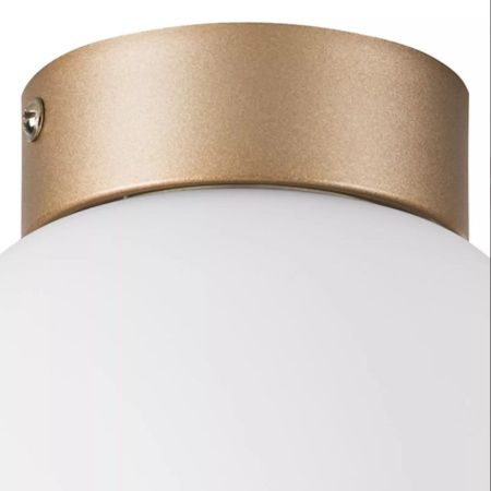 Светильник потолочный Lightstar Globo (Глобо) 812013
