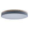 Светильник потолочный Loft It Axel 10001/36 Grey
