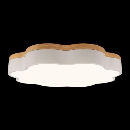 Светильник потолочный Loft It Axel 10225/36 White