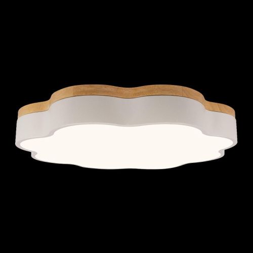 Светильник потолочный Loft It Axel 10225/36 White - фото 4