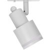Трековый светильник Citilux Bruno (Бруно) CL565T10