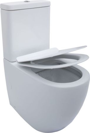 Чаша унитаза напольная Aquanet Cetus CETUS-C1 цвет белый без бачка с сиденьем микролифт безободковая каскадный смыв