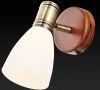 Спот Toplight Sharyl (Схарыл) TL3720Y-01BB