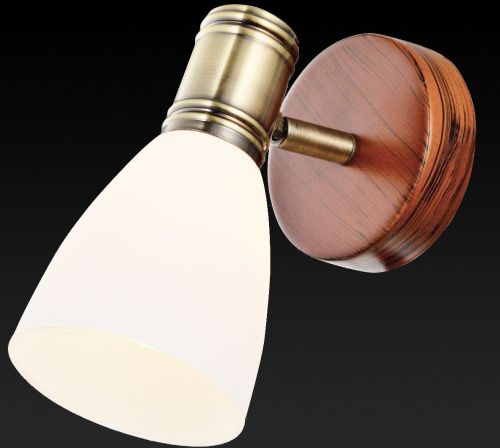Спот Toplight Sharyl (Схарыл) TL3720Y-01BB - фото 2
