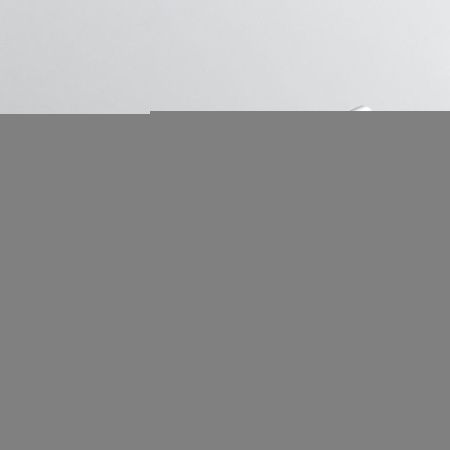 Смеситель для кухни Raffine F203 на мойку хром