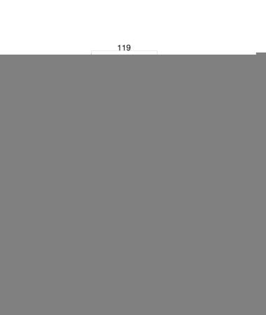 Смеситель Fiore 13ZZ0635 на биде хром/золото