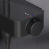Душевая стойка Am.Pm Inspire V2.0 F0750A522 настенная цвет черный с термостатом