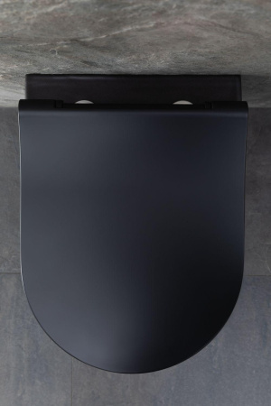 Чаша унитаза подвесная Allen Brau Priority 4.31002.31 цвет черный матовый без сиденья безободковая каскадный смыв