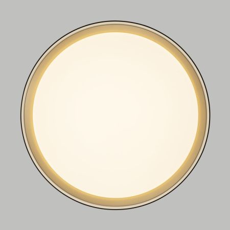 Светильник потолочный музыкальный Citilux Boss (Босс) CL751351G