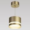 Светильник подвесной Citilux Hardy (Харды) CL002P12