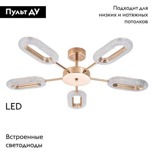 Люстра потолочная Arte Lamp Ovale (Овале) A2489PL-5GO - фото 2