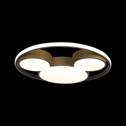 Светильник потолочный Loft It Mike 10168 - фото 4