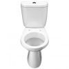 Унитаз-компакт напольный с бачком Santek Анимо 1WH302137 белый с сиденьем микролифт каскадный смыв