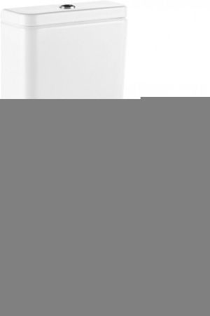 Чаша унитаза напольная Roca The gap 734273700H цвет белый без бачка без сиденья безободковая смыв торнадо