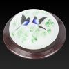 Настенно-потолочный светильник Toplight Jeler (Джелер) TL9481Y-01OA