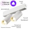 Трековый светильник Denkirs Smart Spot (Смарт Спот) DK8012-WH