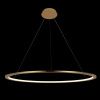 Светильник подвесной Loft It Ring 10014L