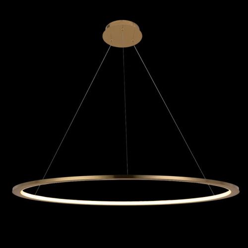 Светильник подвесной Loft It Ring 10014L - фото 4