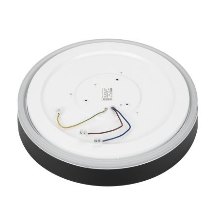 Светильник потолочный музыкальный Citilux Boss (Босс) CL751351G
