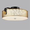 Светильник потолочный Lumion Drumy (Друмы) 6597/40L