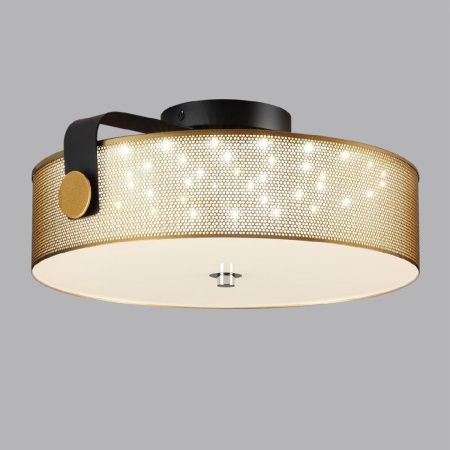 Светильник потолочный Lumion Drumy (Друмы) 6597/40L