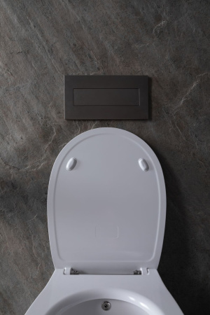 Чаша унитаза подвесная Allen Brau Fantasy 4.11HC1.20 цвет белый без сиденья безободковая каскадный смыв