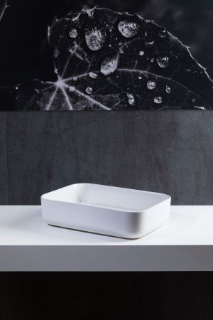 Раковина керамическая Allen Brau Fantasy 4.11021.21 50х40 накладная цвет белый без отверстий под смеситель