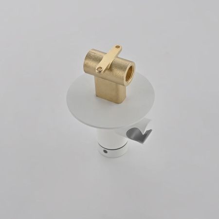 Гигиенический душ со смесителем Rose R235C белый
