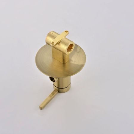 Гигиенический душ со смесителем Rose R235G золото