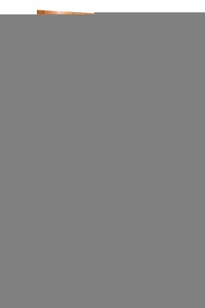 Инженерная доска DW Flooring Дуб LEY-006 инж толщина 1,4 см 23 класс 1200x150