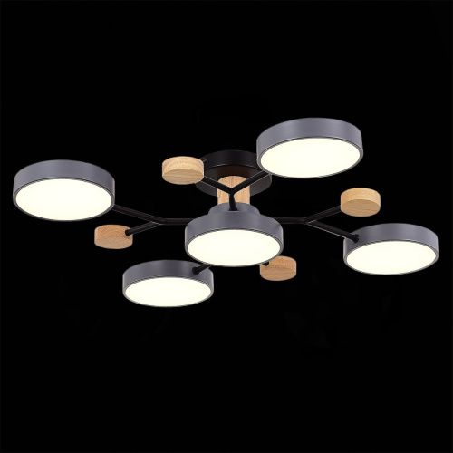 Люстра на штанге Evoluce Faema (Фаема) SLE6006-702-05 - фото 4