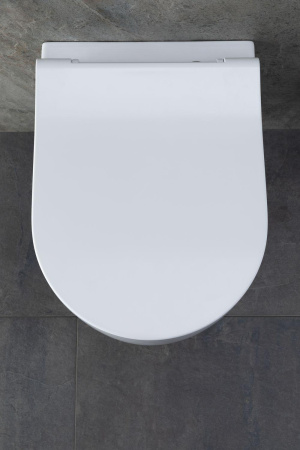 Чаша унитаза подвесная Allen Brau Priority 4.31002.20 цвет белый без сиденья безободковая каскадный смыв