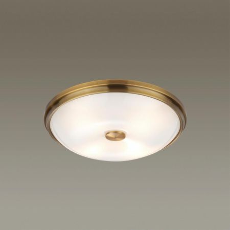 Настенно-потолочный светильник Odeon Light Pelow (Пелов) 4956/4