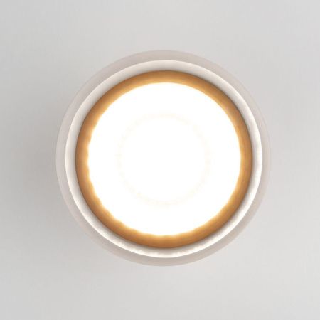 Уличный потолочный светильник Elektrostandard Light Led (Лигхт Лед) 4690389177941