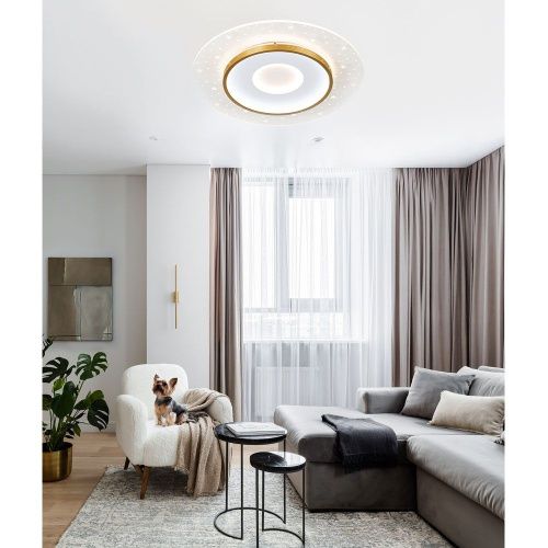Светильник потолочный LED4U L1027-500 WH-GD - фото 2